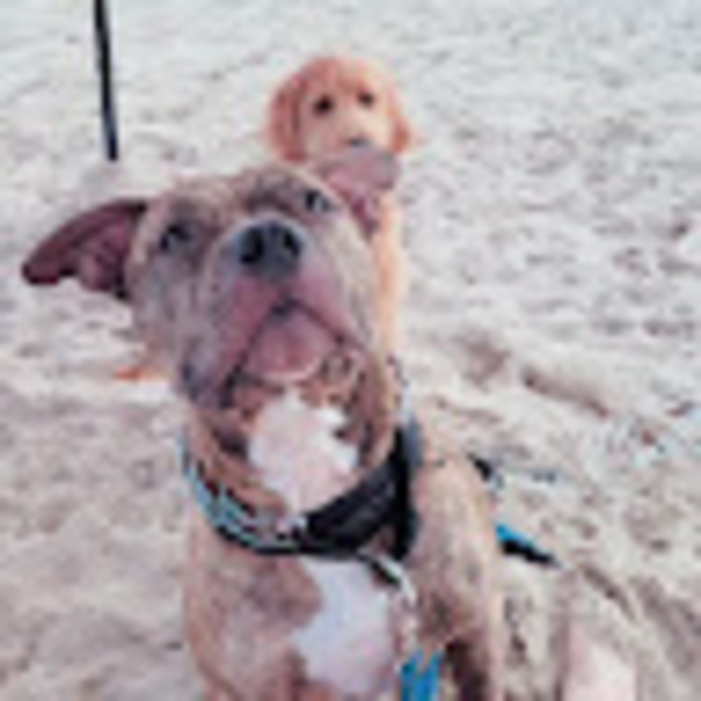 Meet your Posher, Eben